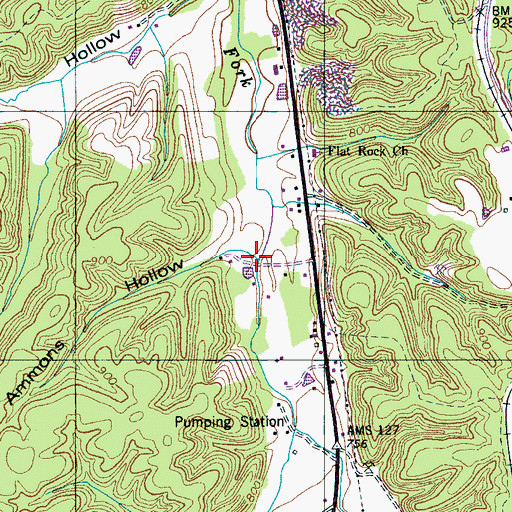Topographic Map of Ammons Hollow, TN