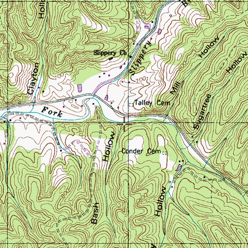 Topographic Map of Bash Hollow, TN