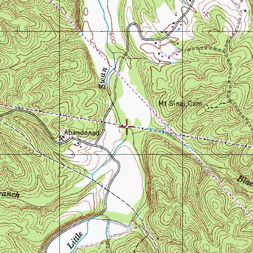 Topographic Map of Briar Branch, TN