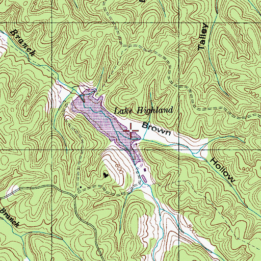 Topographic Map of Brown Hollow, TN