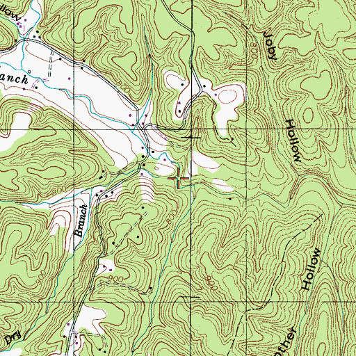 Topographic Map of Dry Branch, TN
