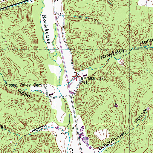 Topographic Map of Newberg Hollow, TN