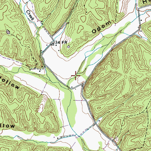 Topographic Map of Odom Hollow, TN