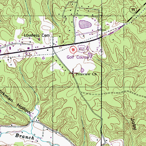 Topographic Map of Pineview Church, TN