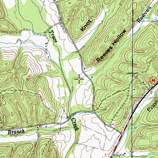 Topographic Map of Reeves Hollow, TN
