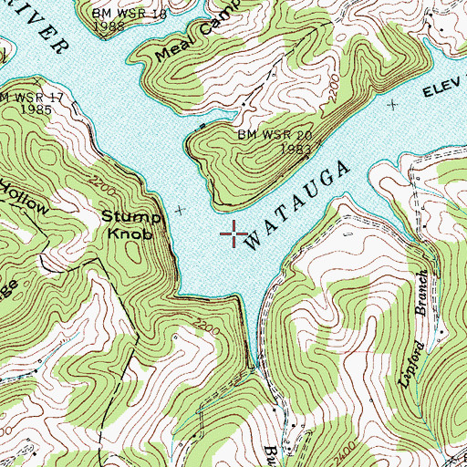 Topographic Map of Blue Springs, TN