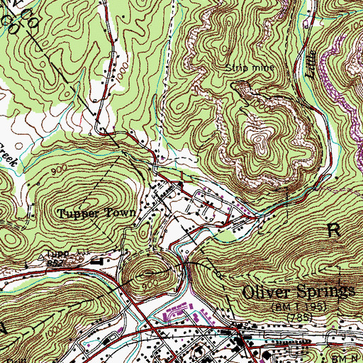 Topographic Map of Reed School (historical), TN