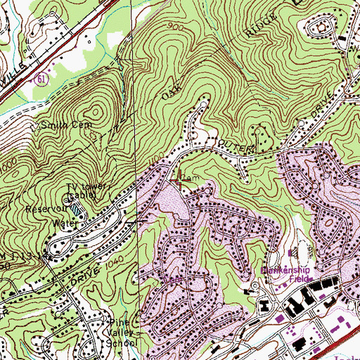 Topographic Map of Woods Chapel (historical), TN