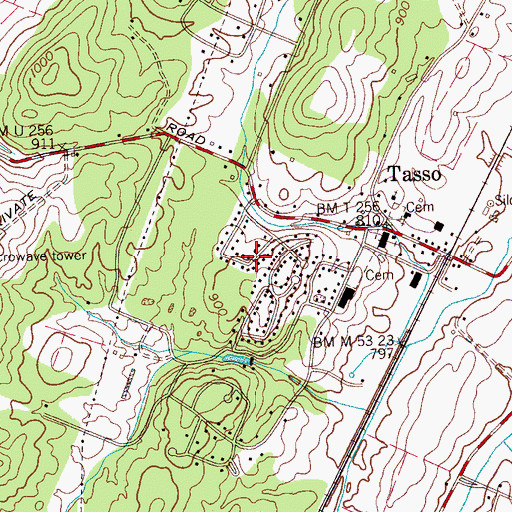 Topographic Map of Tasso Heights, TN