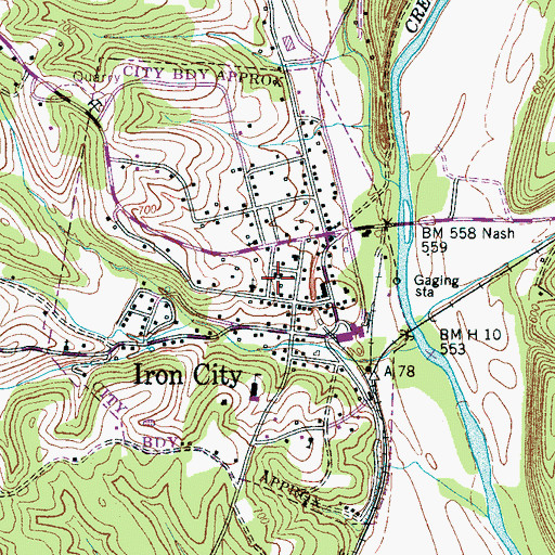 Topographic Map of Iron City Baptist Church, TN