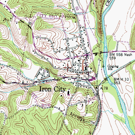 Topographic Map of Iron City Methodist Church, TN