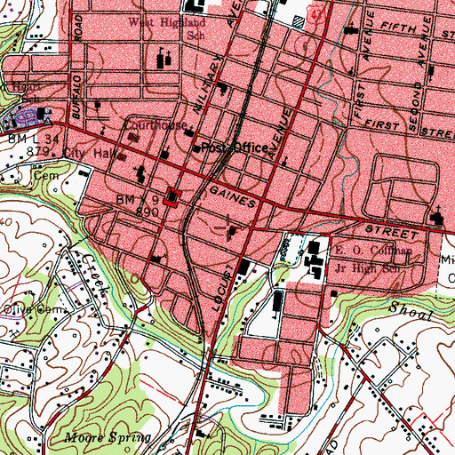 Topographic Map of Pulaski Street Church of Christ, TN