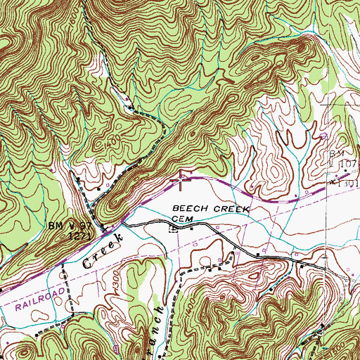 Topographic Map of Chimneytop (historical), TN