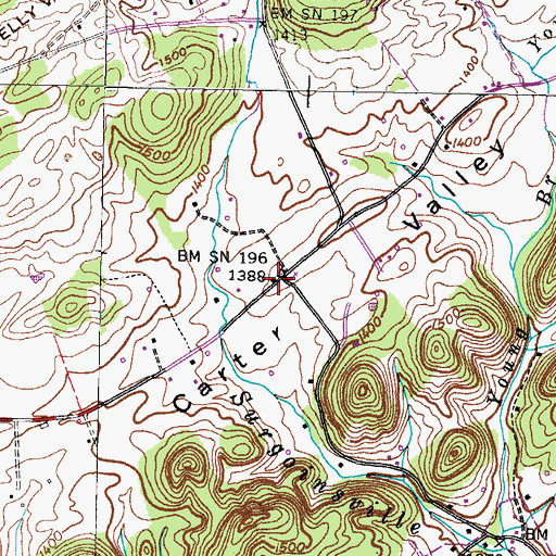 Topographic Map of Lyons Store (historical), TN