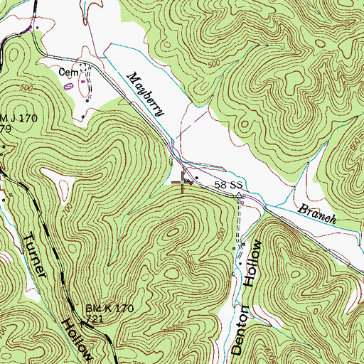 Topographic Map of Mayberry Spring, TN