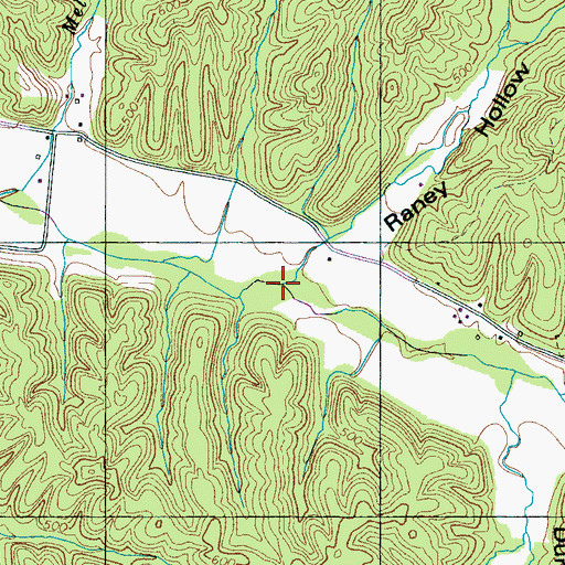 Topographic Map of Raney Branch, TN