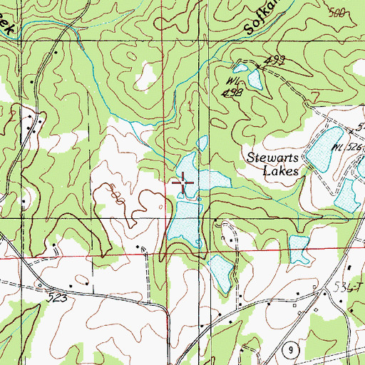 Topographic Map of Stewart Dam, AL
