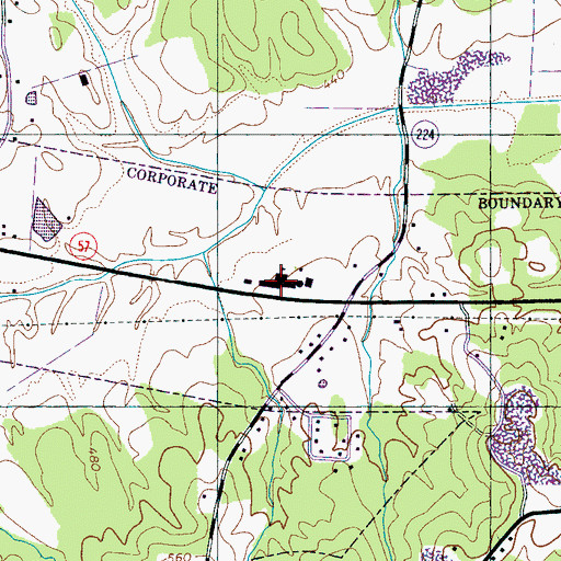 Topographic Map of Michie Elementary School, TN