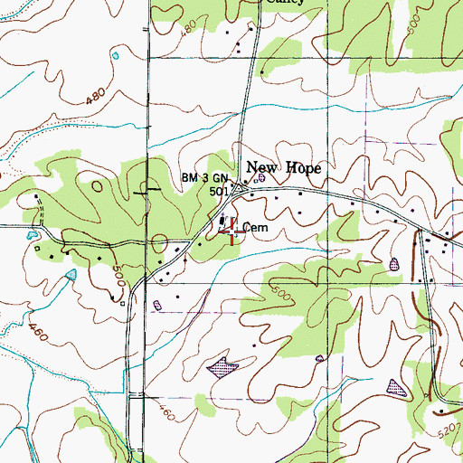 Topographic Map of New Hope Cemetery, TN