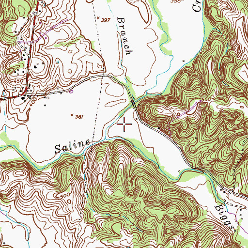 Topographic Map of Biggs Hollow, TN