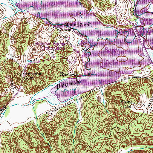 Topographic Map of Brandon Spring, TN