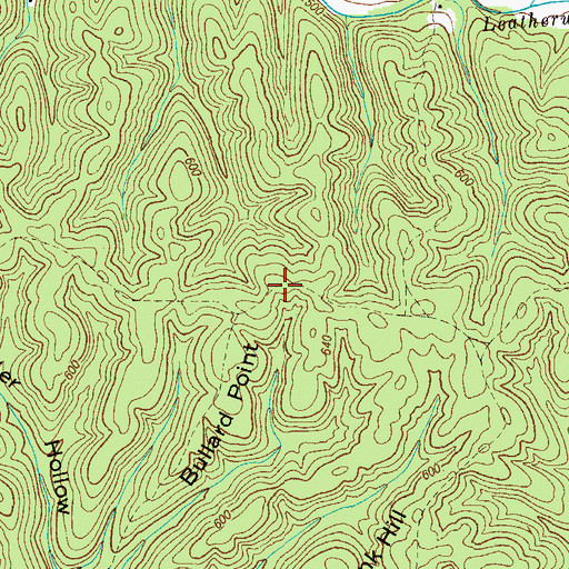 Topographic Map of Bullard Point Crossroads, TN