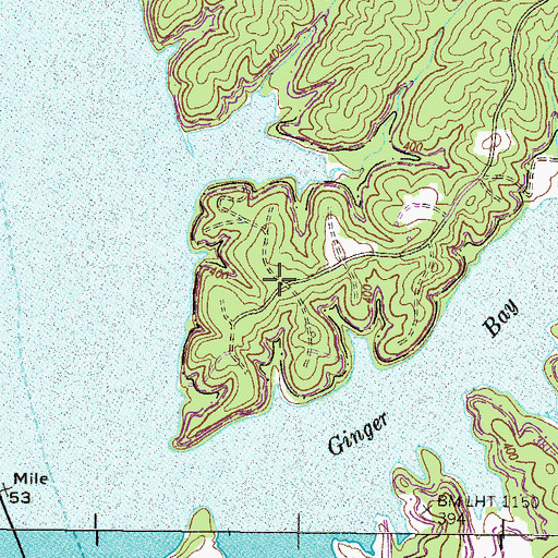 Topographic Map of Ginger Ridge Back Country Camp, TN