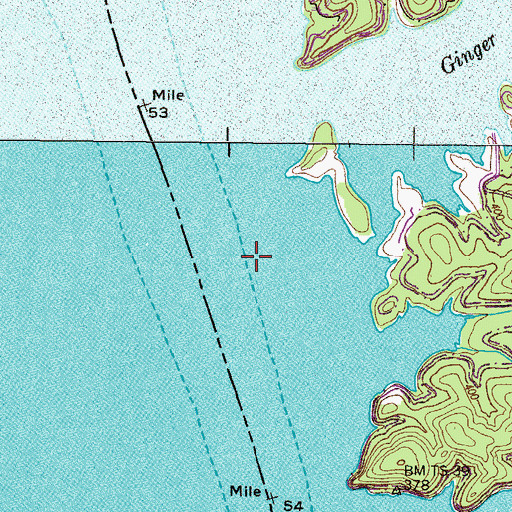 Topographic Map of McClure Landing (historical), TN