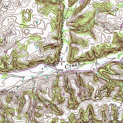Topographic Map of McNichols Hollow, TN