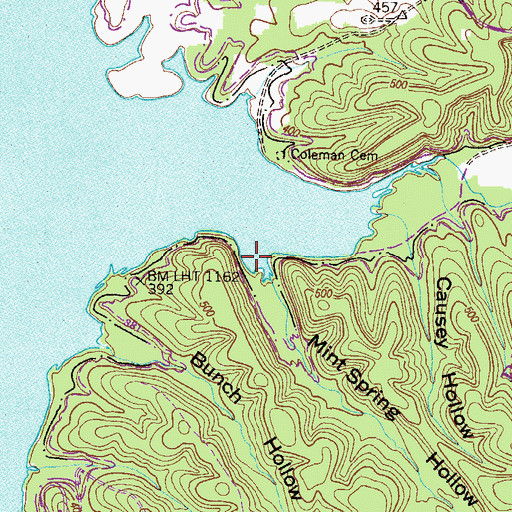 Topographic Map of Mint Spring (historical), TN