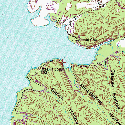 Topographic Map of Mint Spring, TN