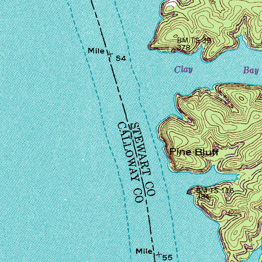 Topographic Map of Pine Bluff Ferry (historical), TN