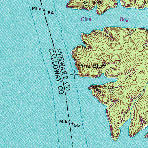 Topographic Map of Pine Bluff Landing (historical), TN