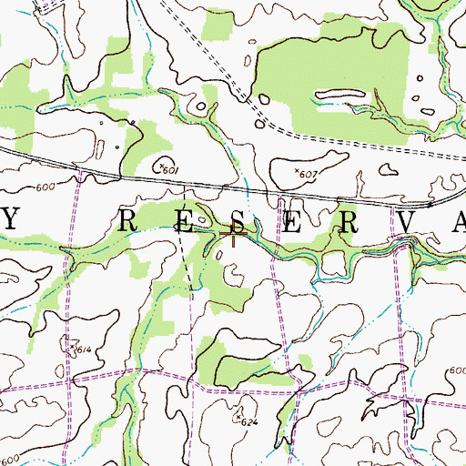 Topographic Map of Piney Fork Branch, TN