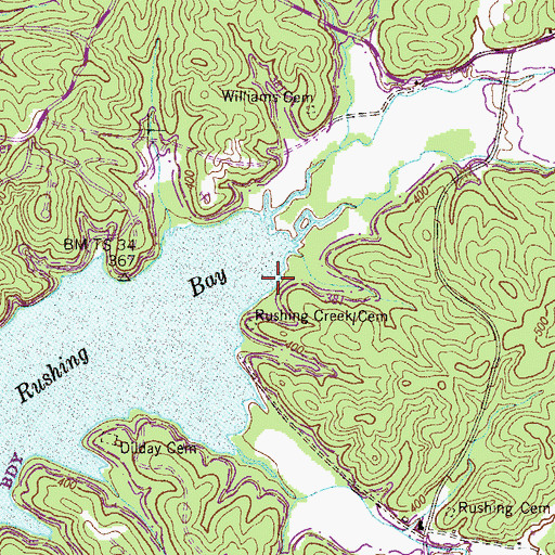 Topographic Map of Rushing (historical), TN