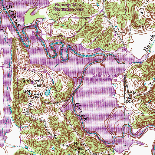 Topographic Map of Saline Creek Public Use Area, TN