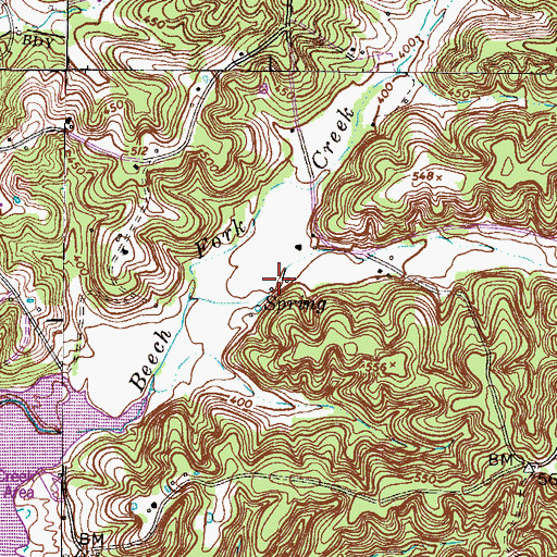 Topographic Map of Saline Furnace (historical), TN