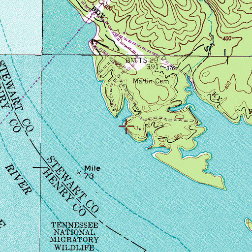 Topographic Map of Swamp Bank Mines, TN