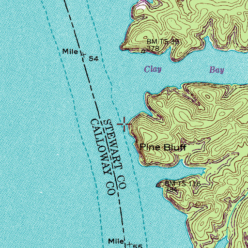 Topographic Map of Thomas Landing (historical), TN