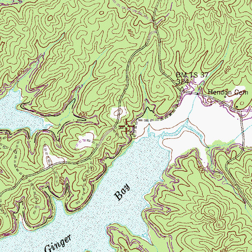 Topographic Map of Vinson Cemetery, TN
