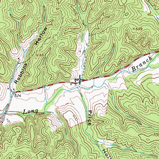 Topographic Map of South Moore Hollow, TN