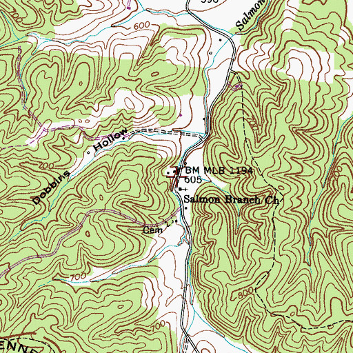 Topographic Map of Spring Valley, TN