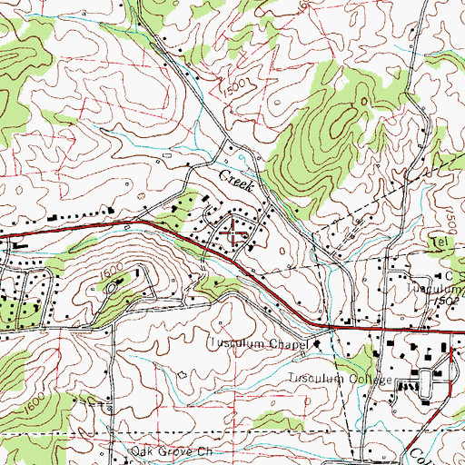 Topographic Map of College View, TN