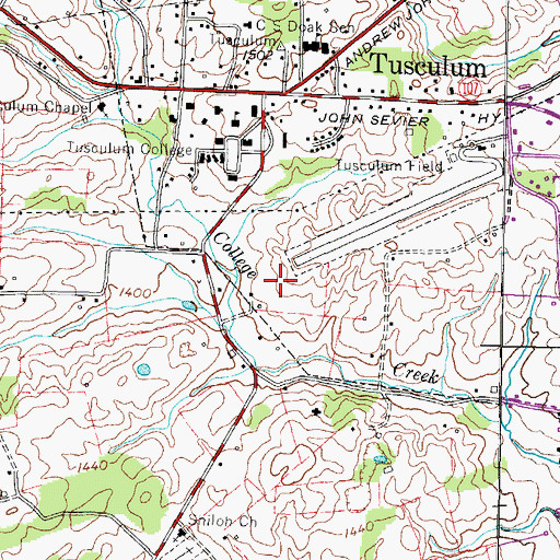 Topographic Map of Tusculum Place, TN