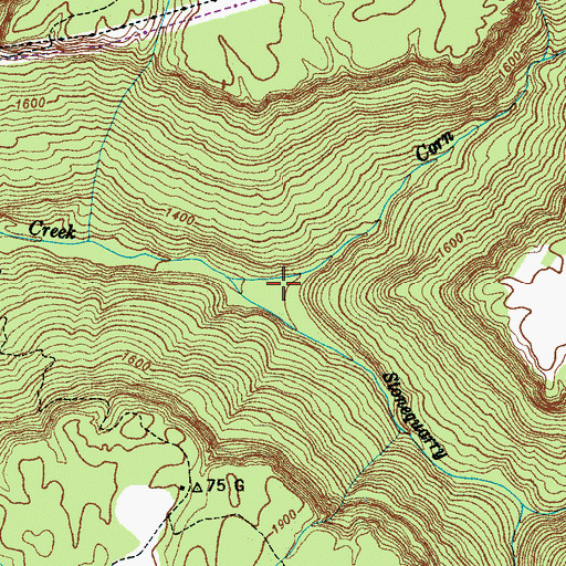 Topographic Map of Corn Branch Cove, TN
