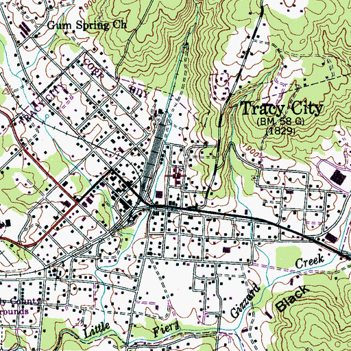 Topographic Map of Tracy Elementary School, TN