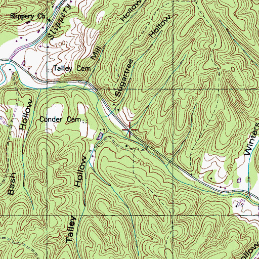 Topographic Map of Bell Hollow, TN