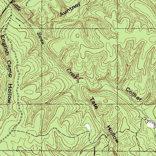 Topographic Map of Collier Branch, TN