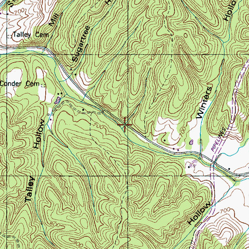 Topographic Map of Lee Hollow, TN