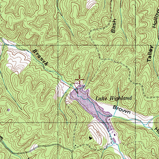 Topographic Map of Lees Lake Cemetery, TN